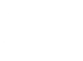 Logo etapa Nativo Babies